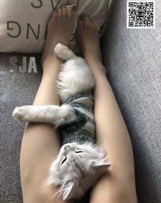 黎明之前免费观看完整版
