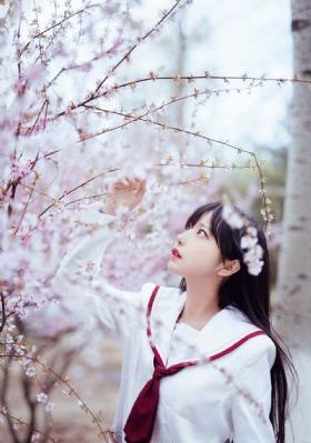 云顶天宫 电视剧